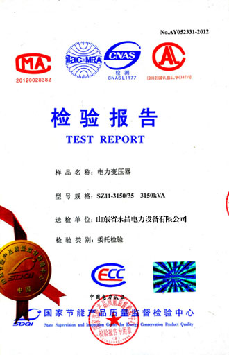 东方电力变压器检测报告